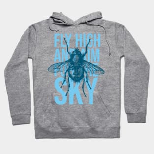 Fly high and aim for the sky Hoodie